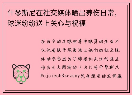 什琴斯尼在社交媒体晒出养伤日常，球迷纷纷送上关心与祝福